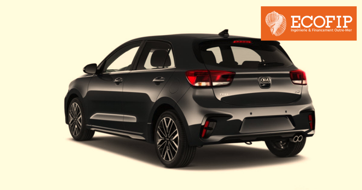 Étendre son parc de location avec la défiscalisation Girardin et ECOFIP Martinique.