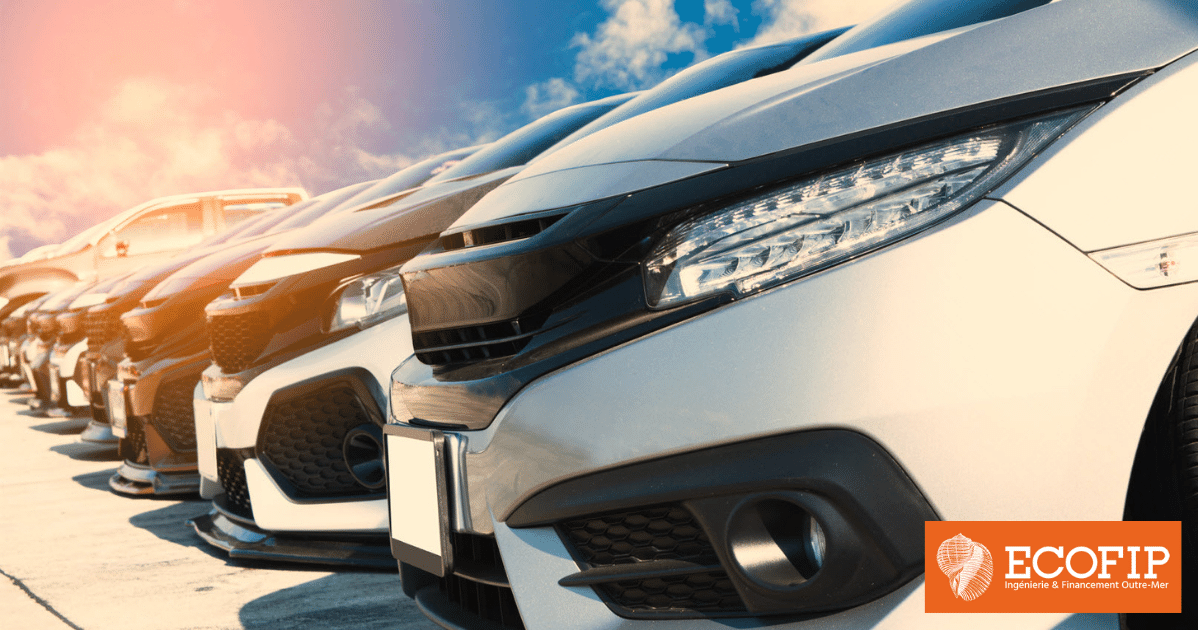 Loueurs de voitures de tourisme, économisez 1/4 du prix de vos achats neufs avec ECOFIP !