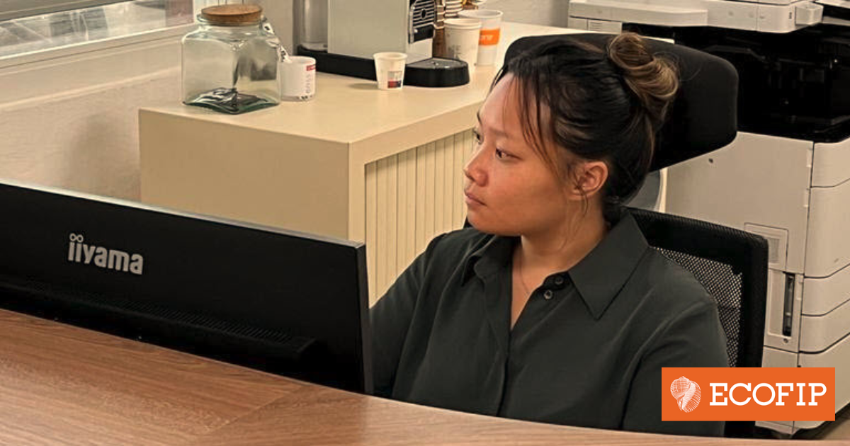 Défiscalisation Girardin Industriel: ECOFIP Guyane renforce son équipe.