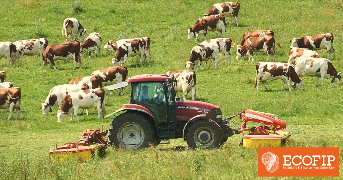 Les activités agricoles dans les outre-mer français sont éligibles à l’aide par la défiscalisation - Tour d’horizon avec ECOFIP