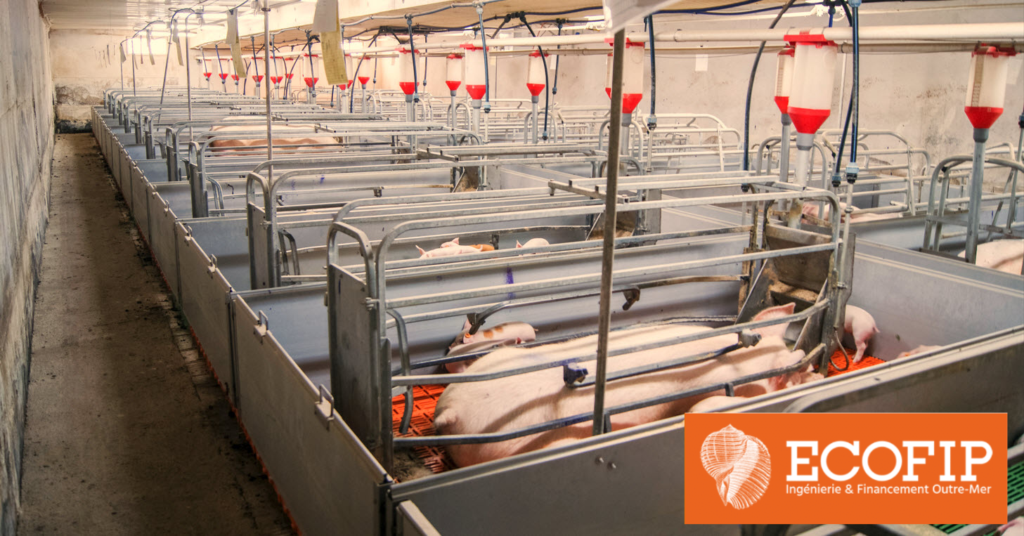 Maximisez votre rendement agricole. Moderniser pour plus de succès avec ECOFIP