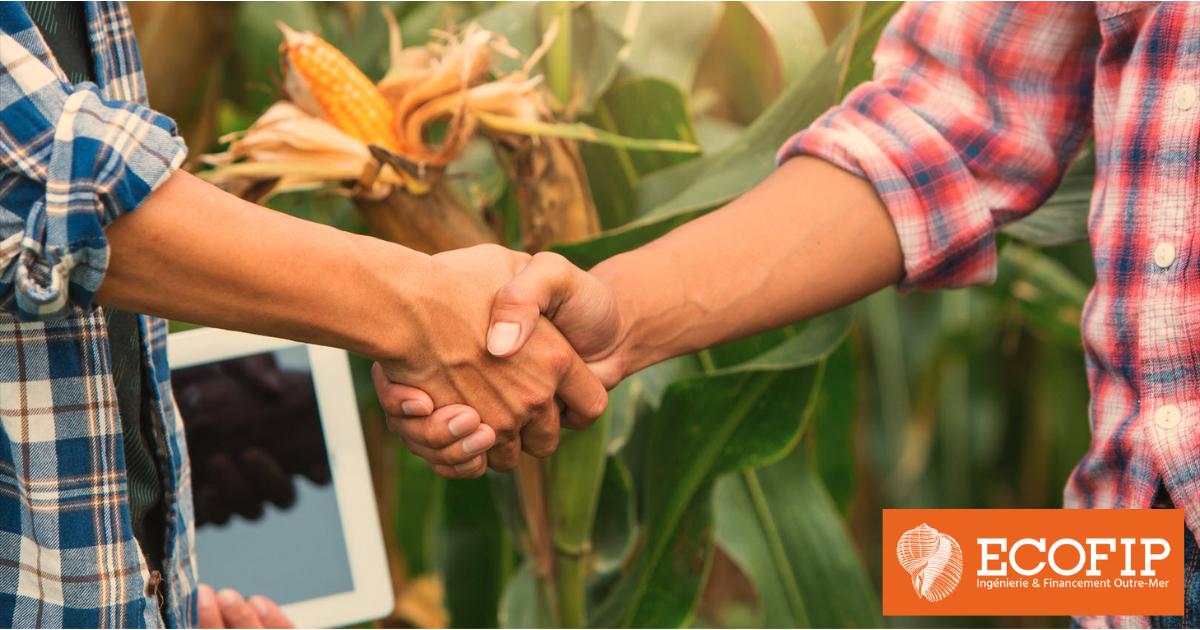 Matériels d'exploitation financés à moindre coût: ECOFIP pour le confort et la sécurité.