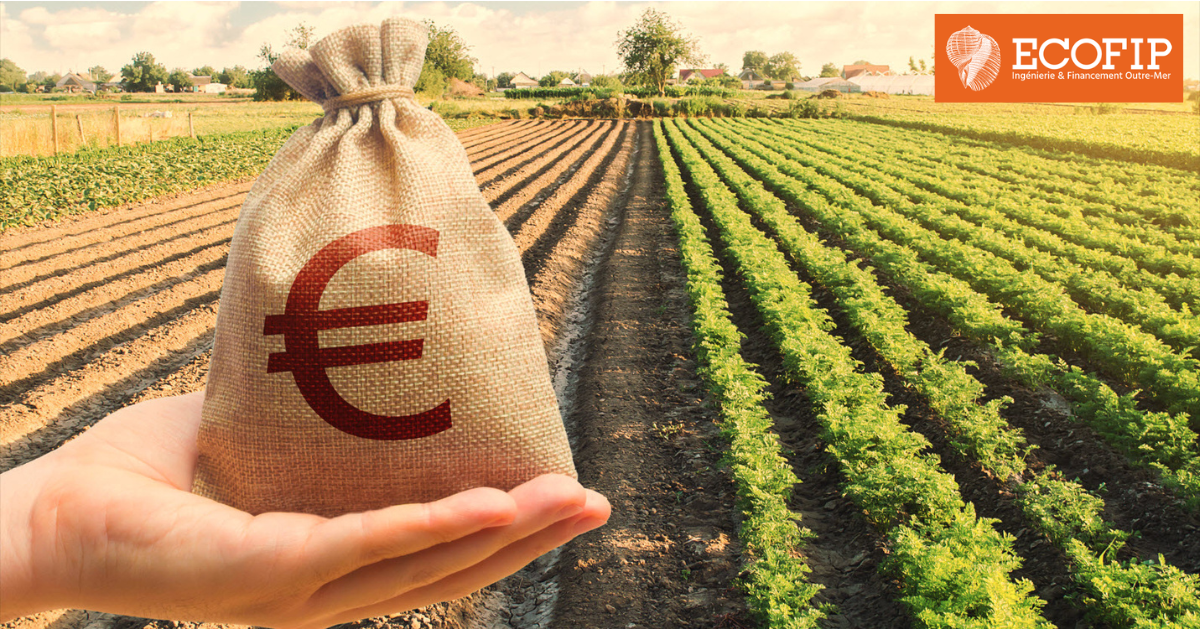 Guide sur l'aide à l'investissement productif en France et Outre-mer - ECOFIP Martinique.