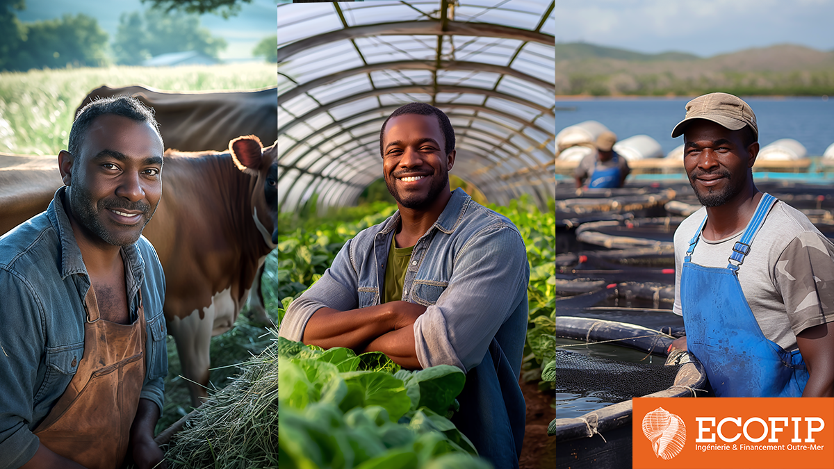 Consolidez votre exploitation agricole avec ECOFIP, aide au financement d'équipements neufs !