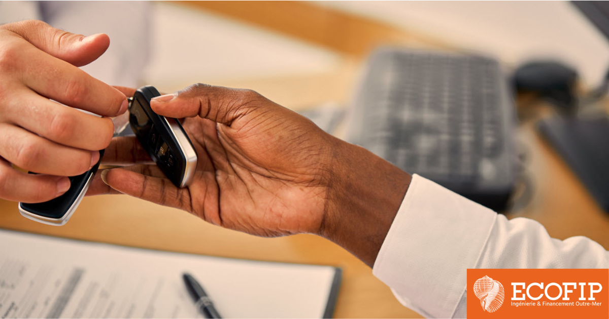 Tourisme: Modernisez votre flotte à louer avec ECOFIP Guyane et la défiscalisation Girardin !