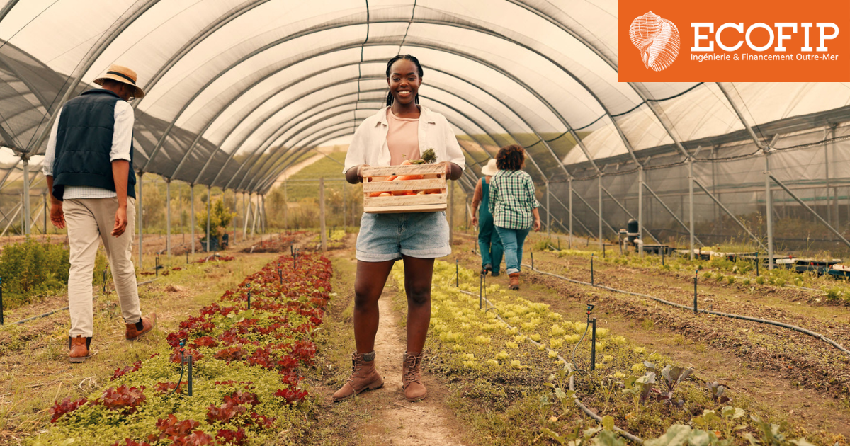 Entrepreneurs, financez vos équipements neufs avec ECOFIP et boostez votre croissance.