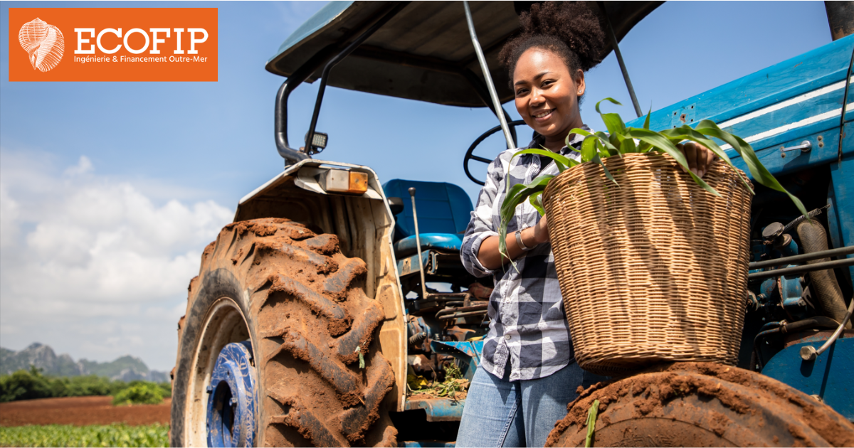Exploitants, le soutien financier "Girardin Industriel", une aubaine à votre portée avec ECOFIP Guyane.