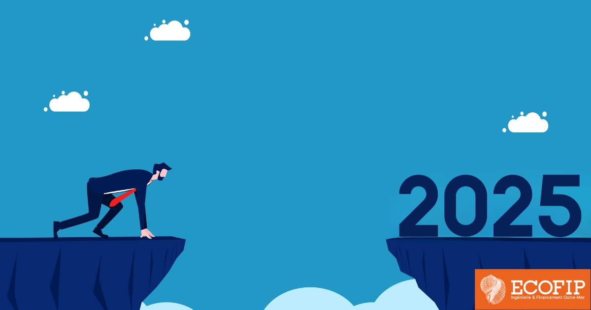 Entrepreneur, pour vos défis de 2025 : financement rapide à conditions avantageuses avec ECOFIP