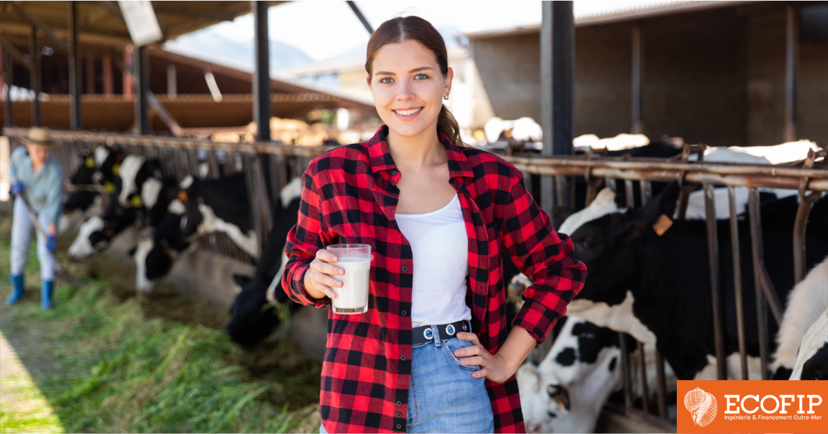 Entrepreneur, boostez vos projets 2025 : financement rapide à conditions avantageuses avec ECOFIP