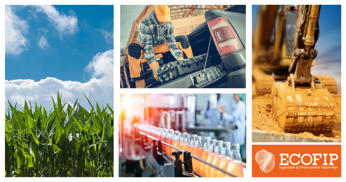 ECOFIP NC : Le financement pour rebâtir et relancer certaines activités !