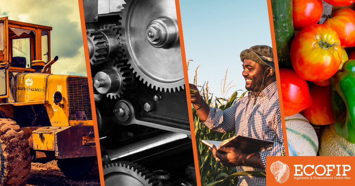 Nouvelle année, nouveaux objectifs : Transformez vos ambitions pour 2025 en réalité avec ECOFIP !