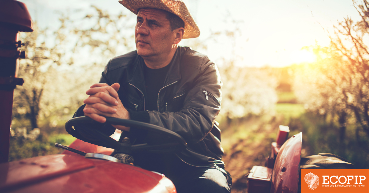 Financement d’investissements en défiscalisation en Guyane : une opportunité stratégique pour les secteurs clés - ECOFIP Guyane.