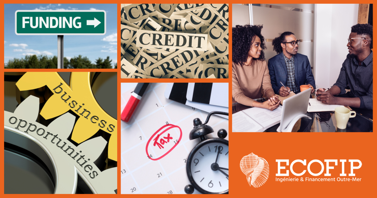 Aides au financement des investissements productifs en Outre-mer : Guide entrepreneurs - ECOFIP Guyane.