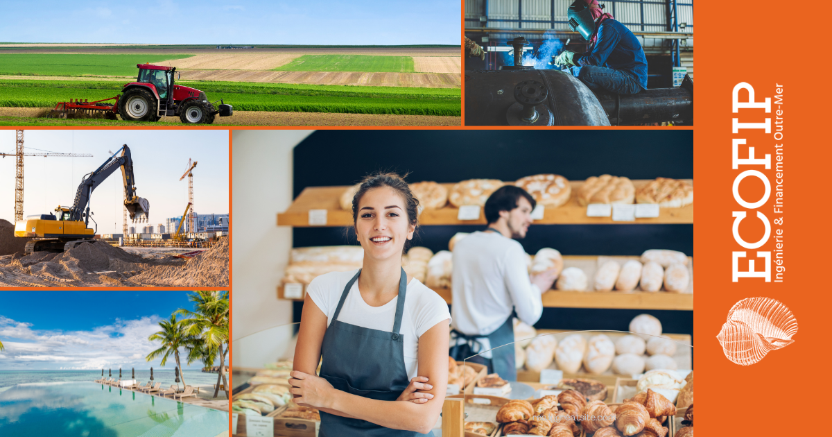 Financer un investissement en Outre-mer grâce à la défiscalisation Girardin - ECOFIP Martinique.