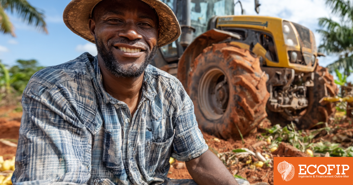 Modernisez vos outils avec les aides et subventions d'ECOFIP + Loi Girardin