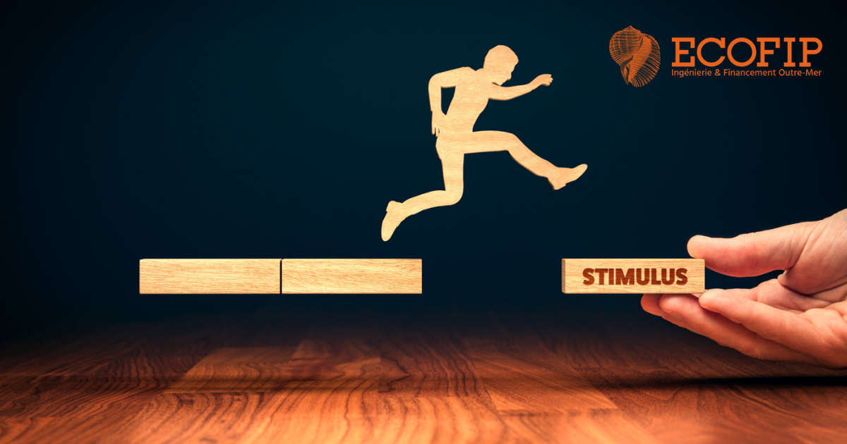 Aides publiques et subventions aux entreprises - Extraits - ECOFIP Martinique