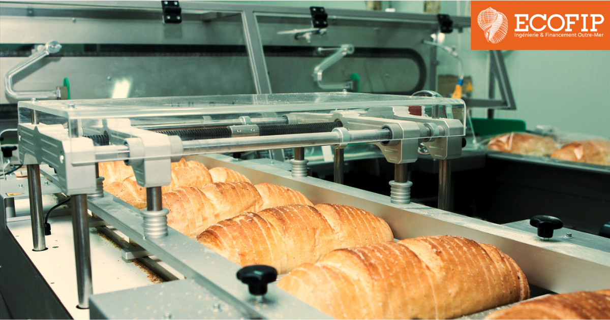 Révolutionnez votre activité de production. ECOFIP, votre partenaire de croissance en Martinique !