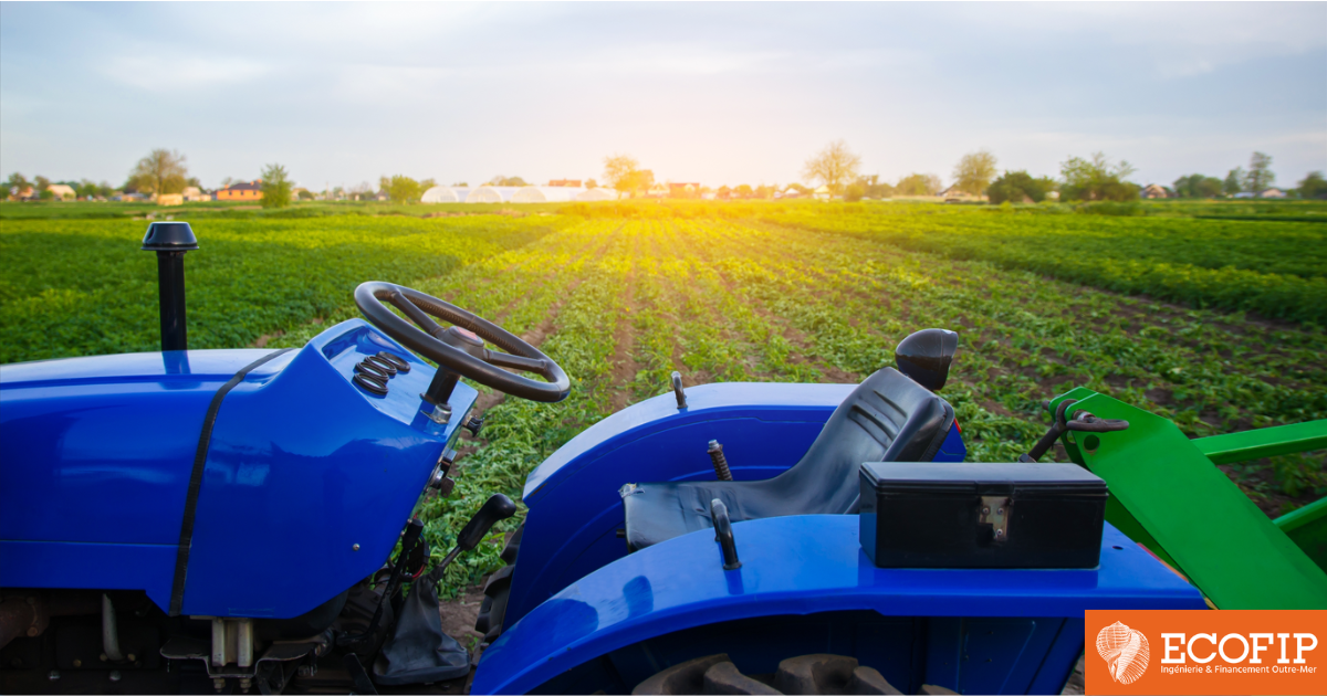 Entrepreneur, pour vos défis de 2025 : financement rapide à conditions avantageuses avec ECOFIP