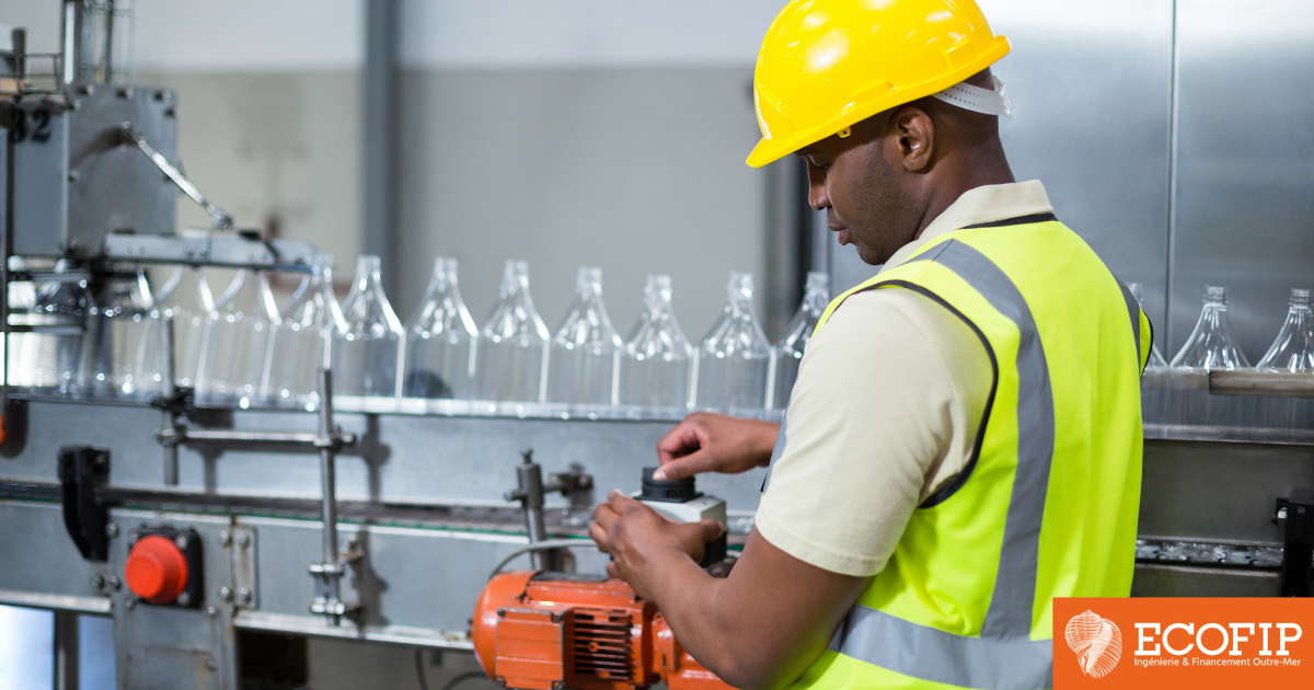 Financement d’investissements en défiscalisation en Martinique : une opportunité stratégique pour les secteurs clés - ECOFIP Martinique.