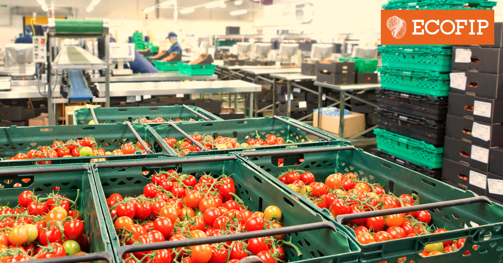 Investir en défiscalisation : que faut-il savoir sur les dispositifs « Girardin » ? – ECOFIP Martinique.