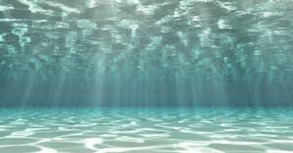 Ecofip : Charte de bonnes pratiques | Ecofip Martinique