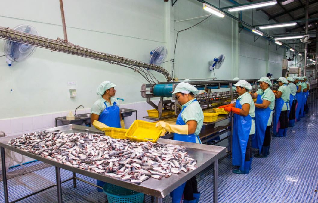 Financement de biens productifs avec la Loi de défiscalisation Girardin industriel en Martinique.