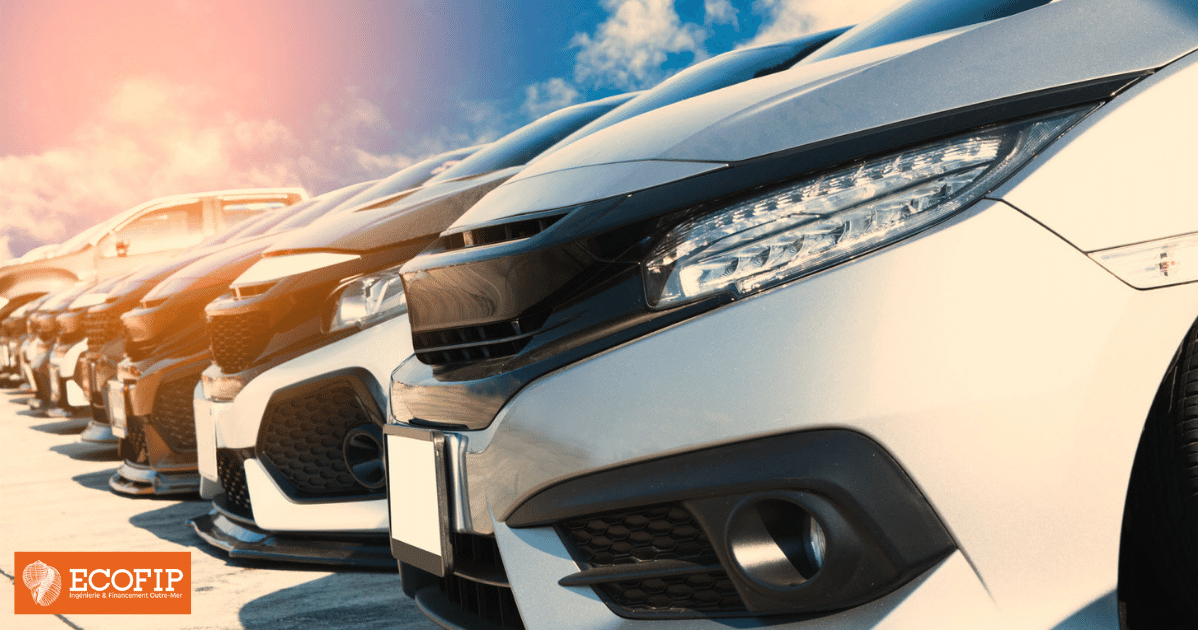Loueurs de voitures de tourisme, économisez 1/4 du prix de vos achats neufs avec ECOFIP !