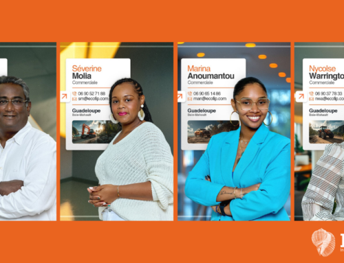 L’équipe ECOFIP Guadeloupe : proche de vous, engagée pour vos projets