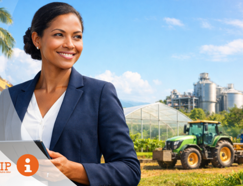 Défiscalisation en Outre-mer : comment financer vos investissements grâce au Girardin ? – ECOFIP Outre-mer.