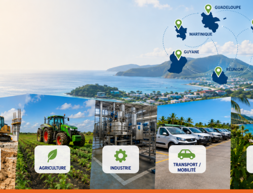 Aides aux entreprises et à l’investissement Outre-mer : quelles solutions pour financer vos projets en 2026 ? – ECOFIP Outre-mer.
