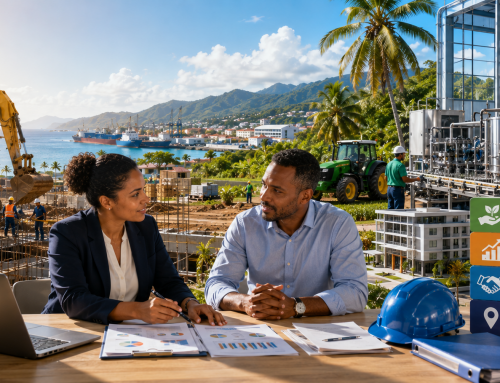 Aides à l’investissement en Outre-Mer : quels dispositifs pour accompagner les entreprises ? | ECOFIP Outremer